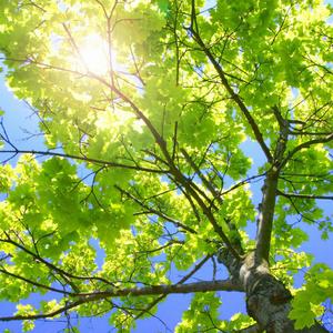 男男裸体视频网站
